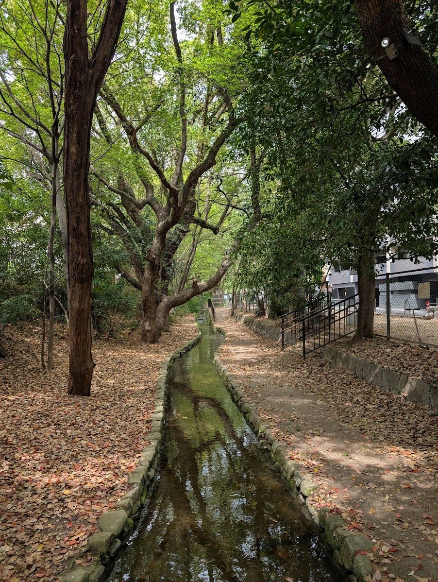 in the heart of kyoto